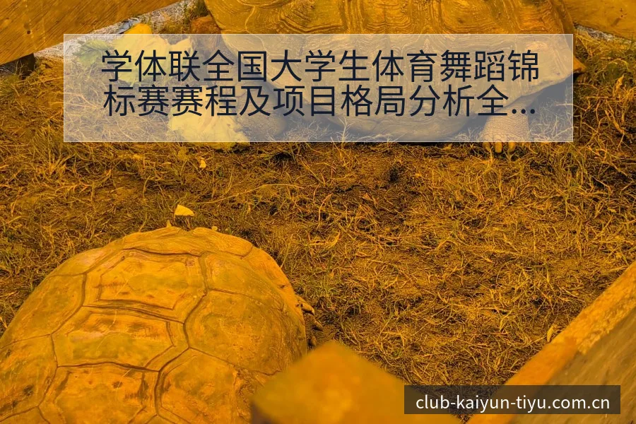学体联全国大学生体育舞蹈锦标赛赛程及项目格局分析全景解读 - 开云