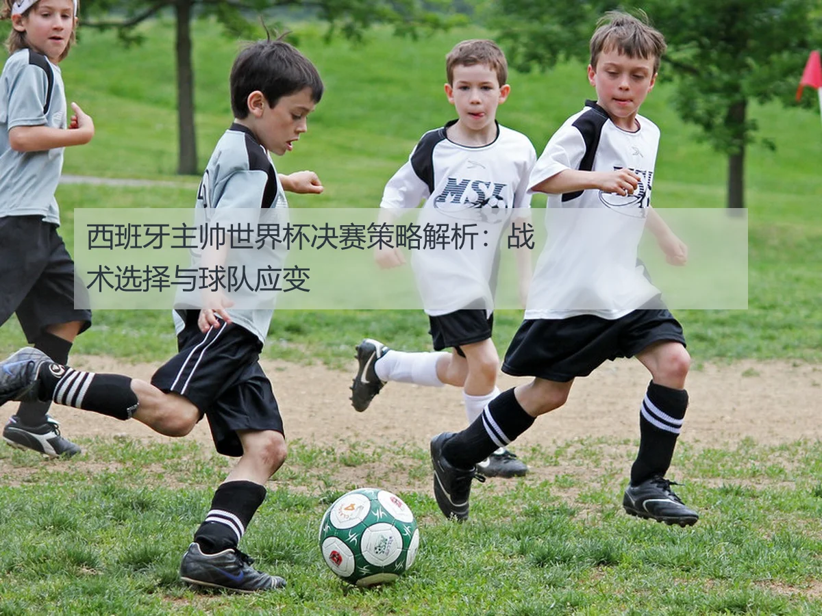 西班牙主帅世界杯决赛策略解析：战术选择与球队应变